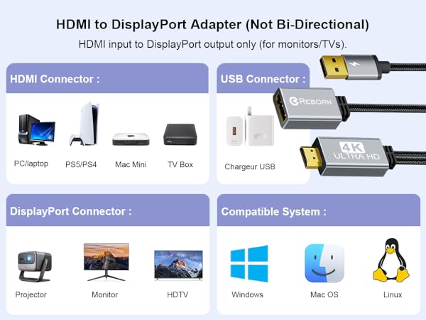 Reborn Active HDMI to DisplayPort Adapter