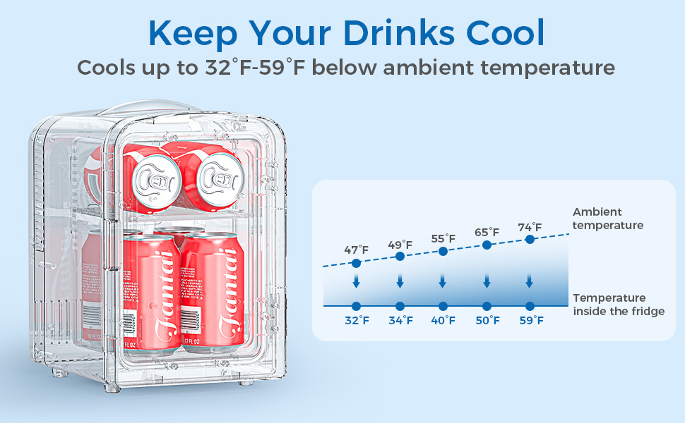Mini Fridge