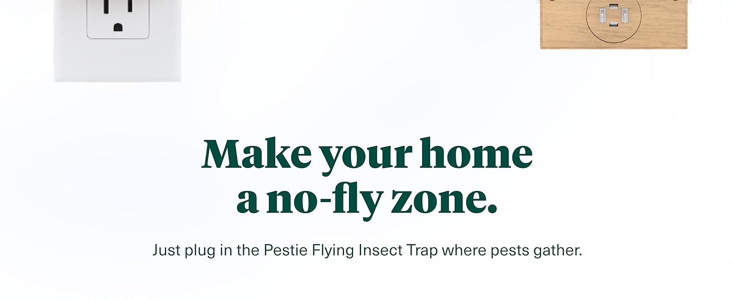 Make your home a no fly zone