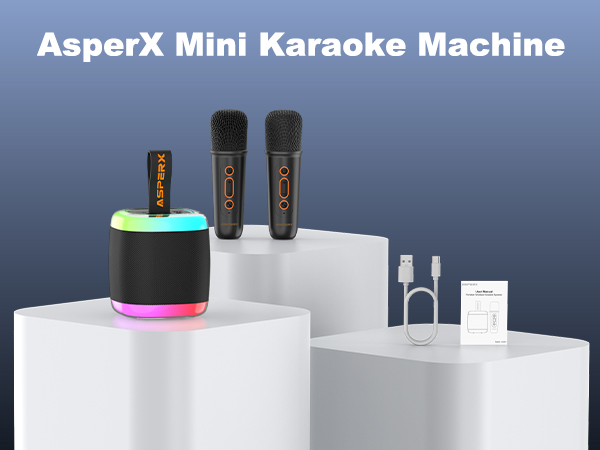 karaoke machine for adults