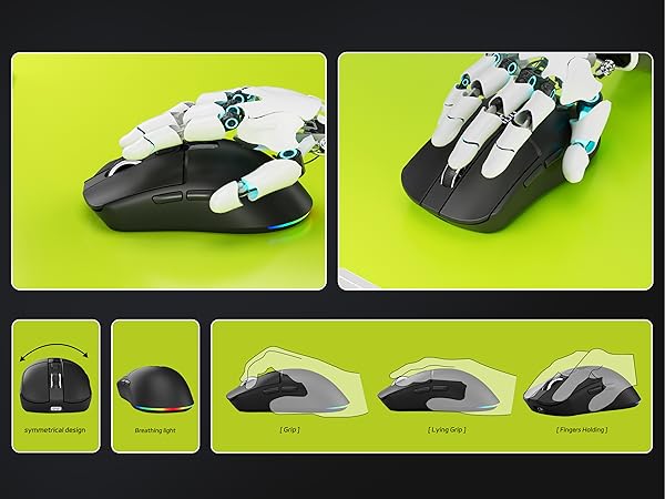 mouse