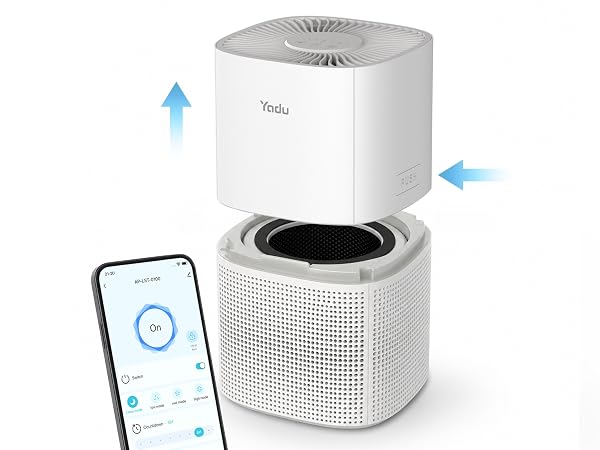 air purifier for dorm room