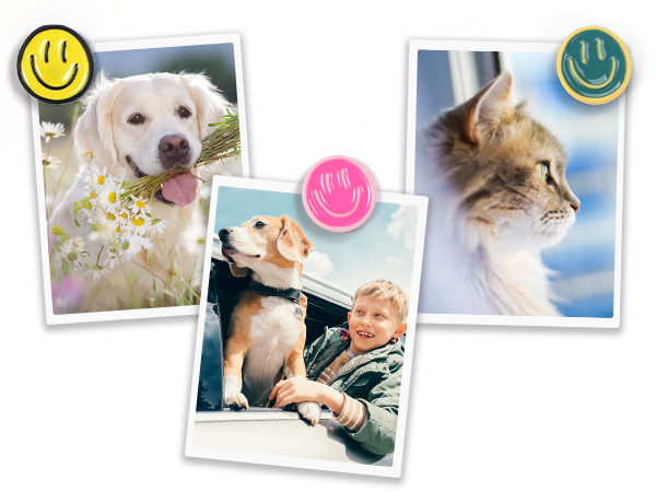 thumb tacks for wall