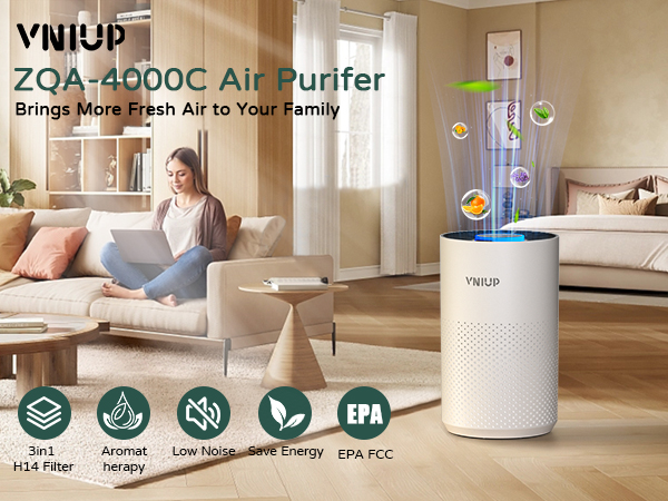 air cleaners for home