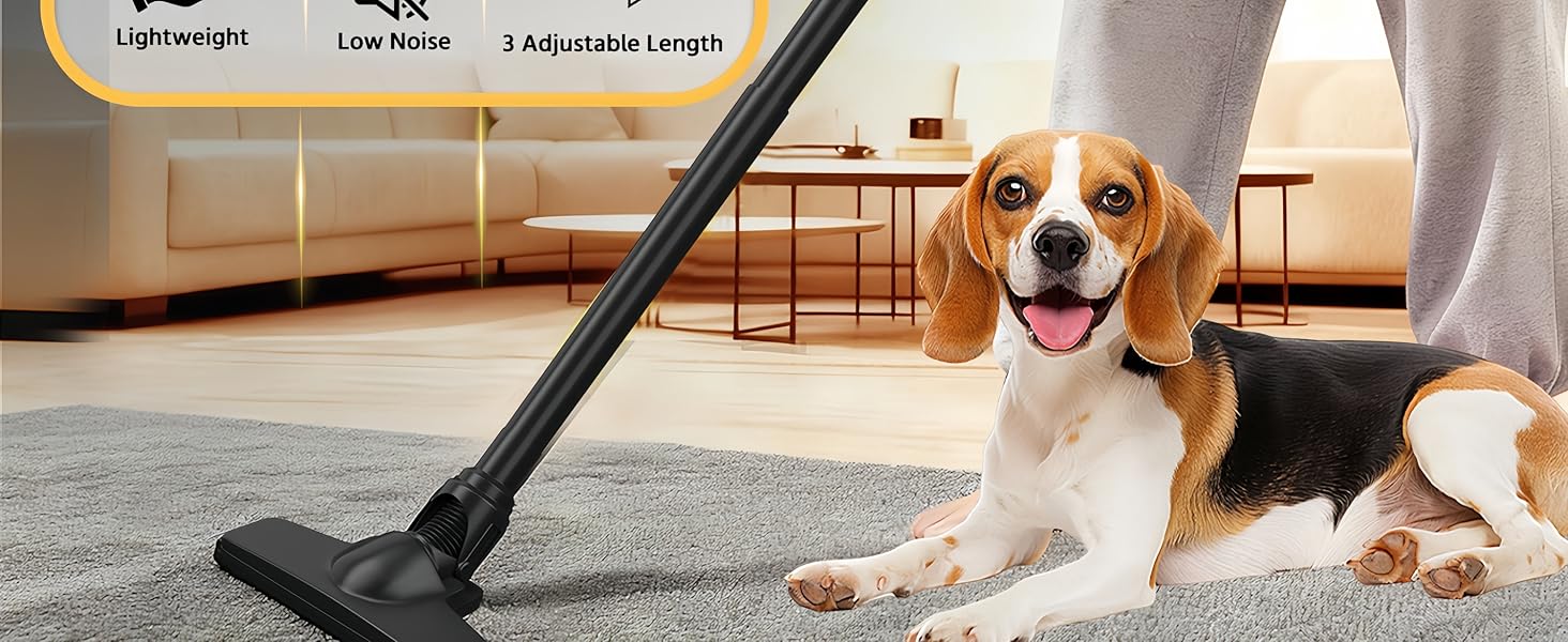 vacuum
