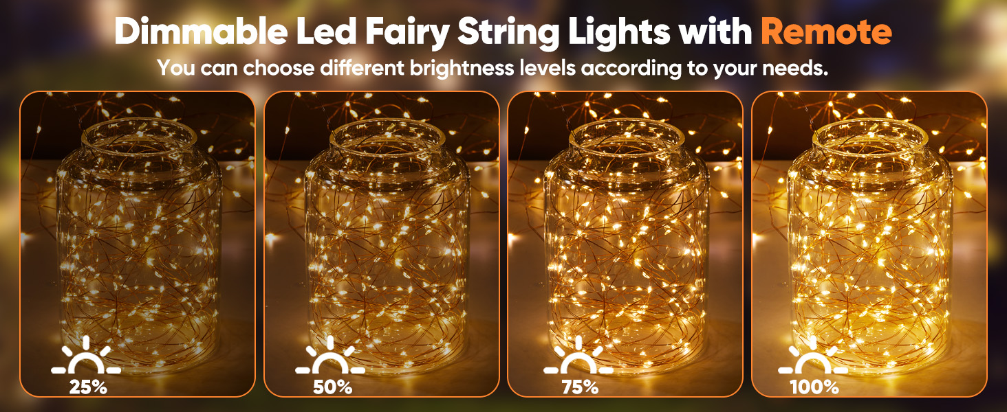 Battery Operated Fairy Lights with Remote Waterproof Copper Wire String Lights