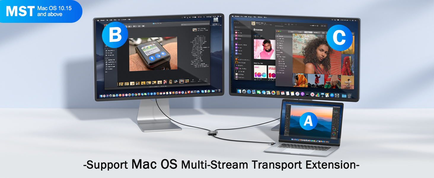 Multi-Stream Transport