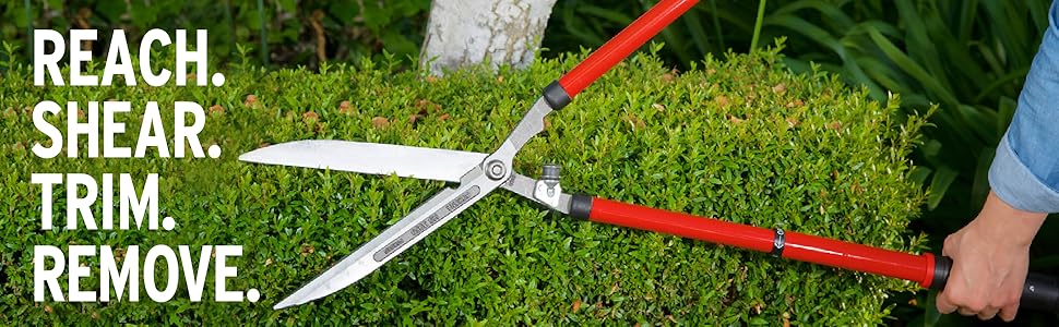 Reach. Shear. Trim. Remove. Corona, season after season