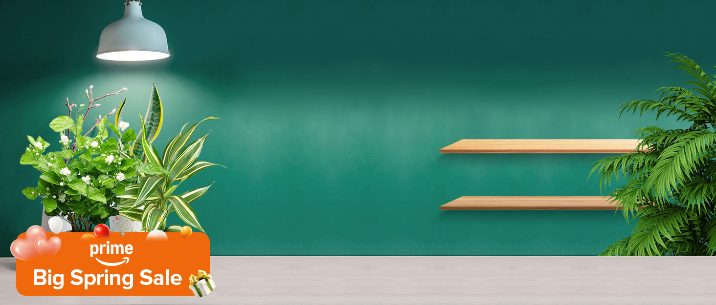 sansi grow light bulbs