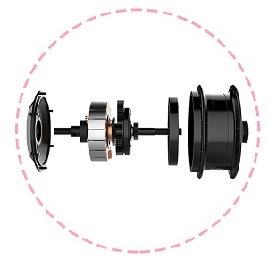 Ear and Nose Hair Trimmer for Women