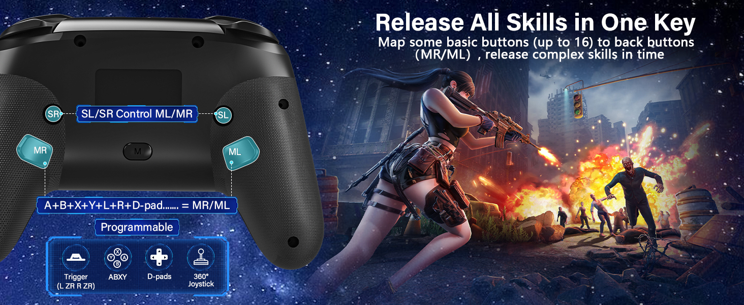 nintendo switch pro controller