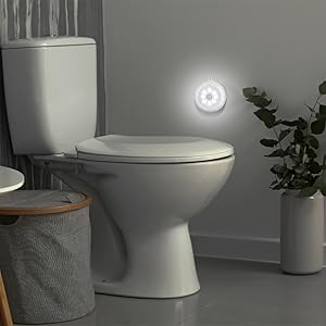 toilet light