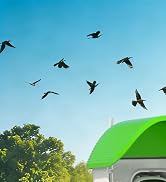 Smart Bird Feeder with Camera Solar Powered