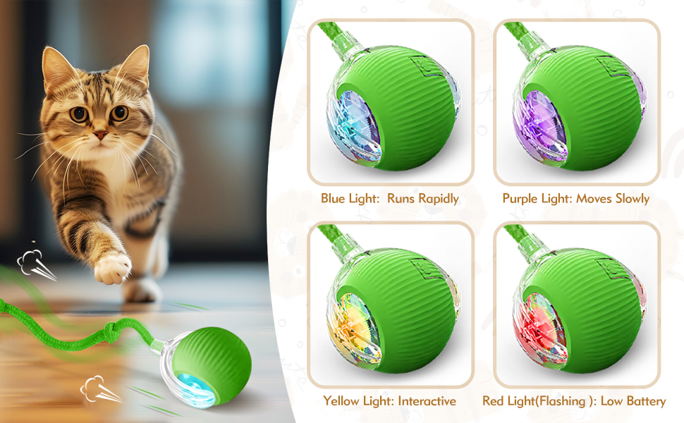 pet toys for cats