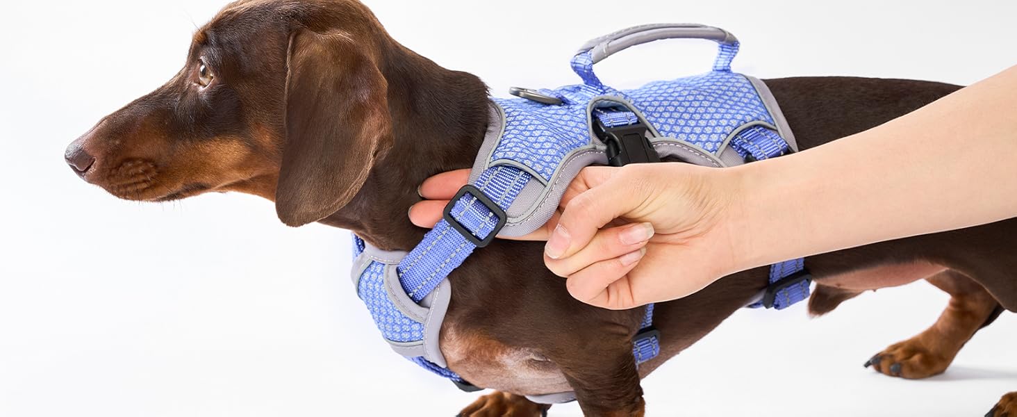 escape proof harness for dog