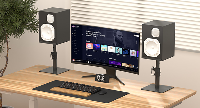 Bookshelf Speaker Stand