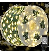 WATERGLIDE Extra Long 328 FT Fairy String Lights, 1000 LED Outdoor Christmas Lights, Green PVC Co...