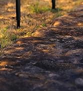 Solar Pathway Lights