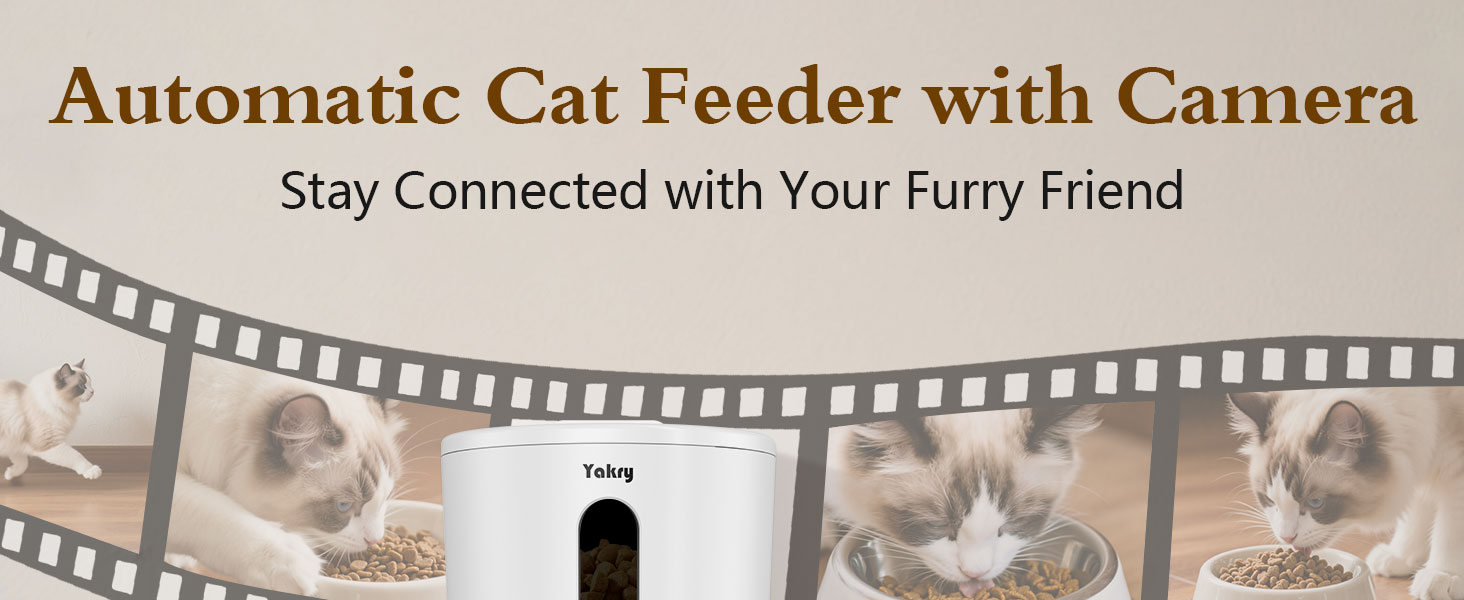 automatic cat feeder