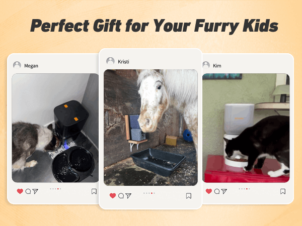 automatic pet feeder for cats and dogs