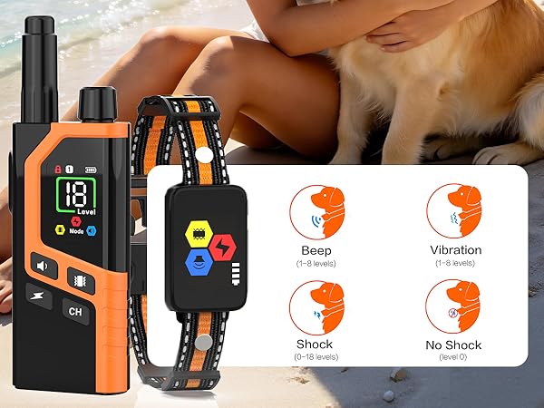 dog training collar with remote