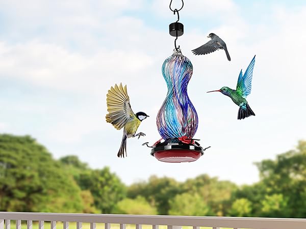 Enjoy quality time with lovely hummingbirds