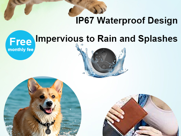 smart dog collar gps tracking