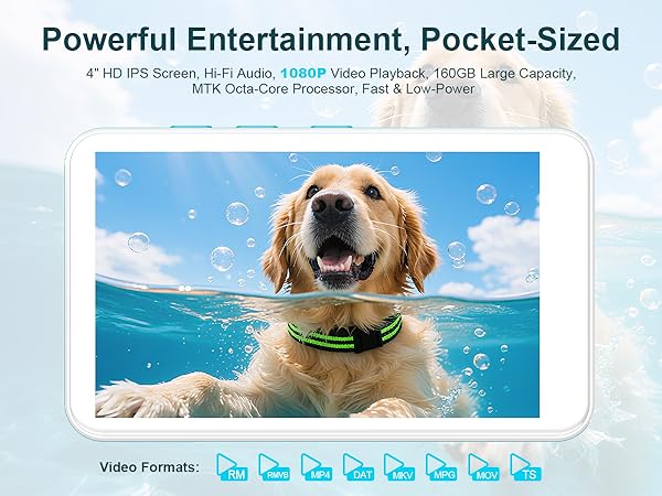Text reads: 'Powerful Entertainment, Pocket-Sized'. Marketing image showing a golden retriever underwater wearing goggles, with video format icons below.