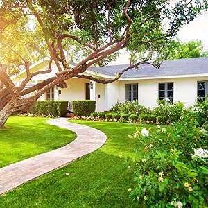 House with a large yard, full of very green grass