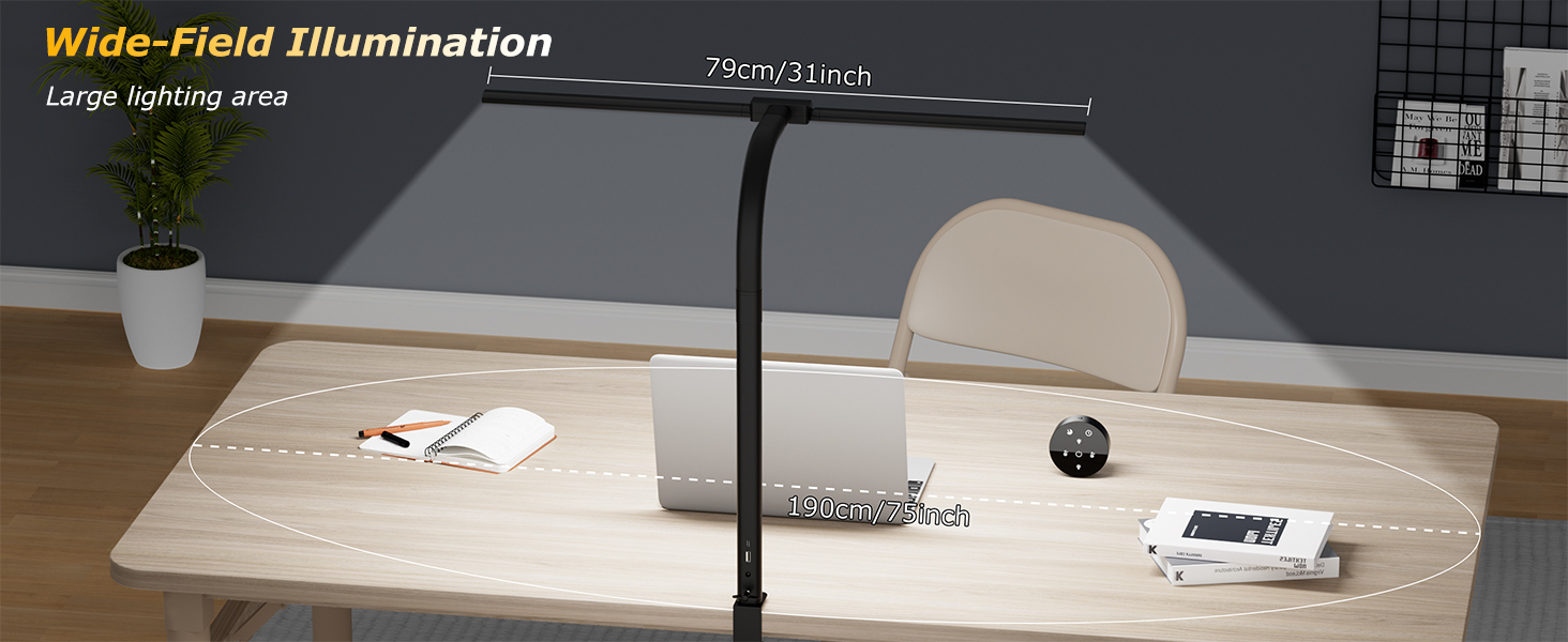 Wide-Field Illumination