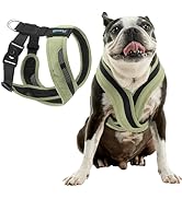 Gooby Comfort X One Harness - Portland Green, Large - Escape Free and Choke Free Shock Absorbing ...