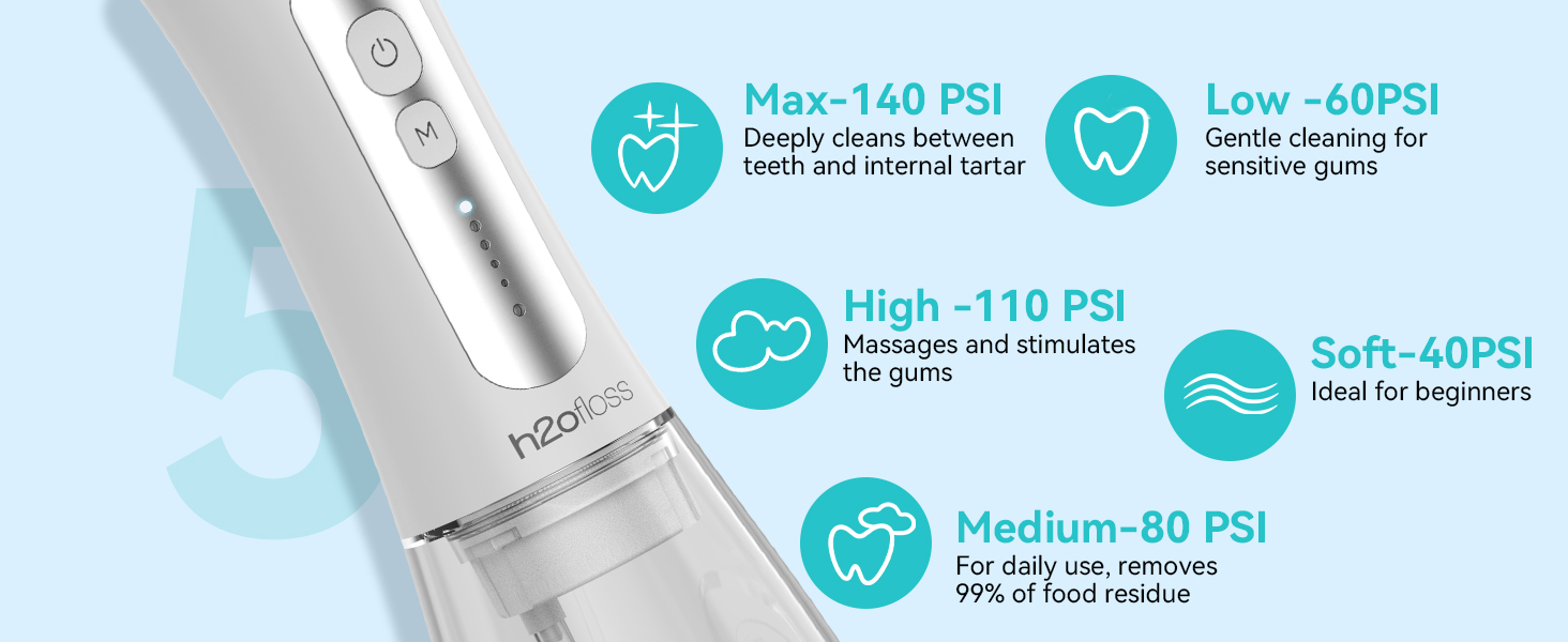 electric toothbrush and water flosser combo