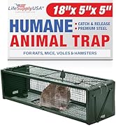 Heavy Duty Catch Release Small Live Humane Animal Cage Trap for Rat Mice Voles Weasels and Other ...