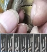 Diamond Bit