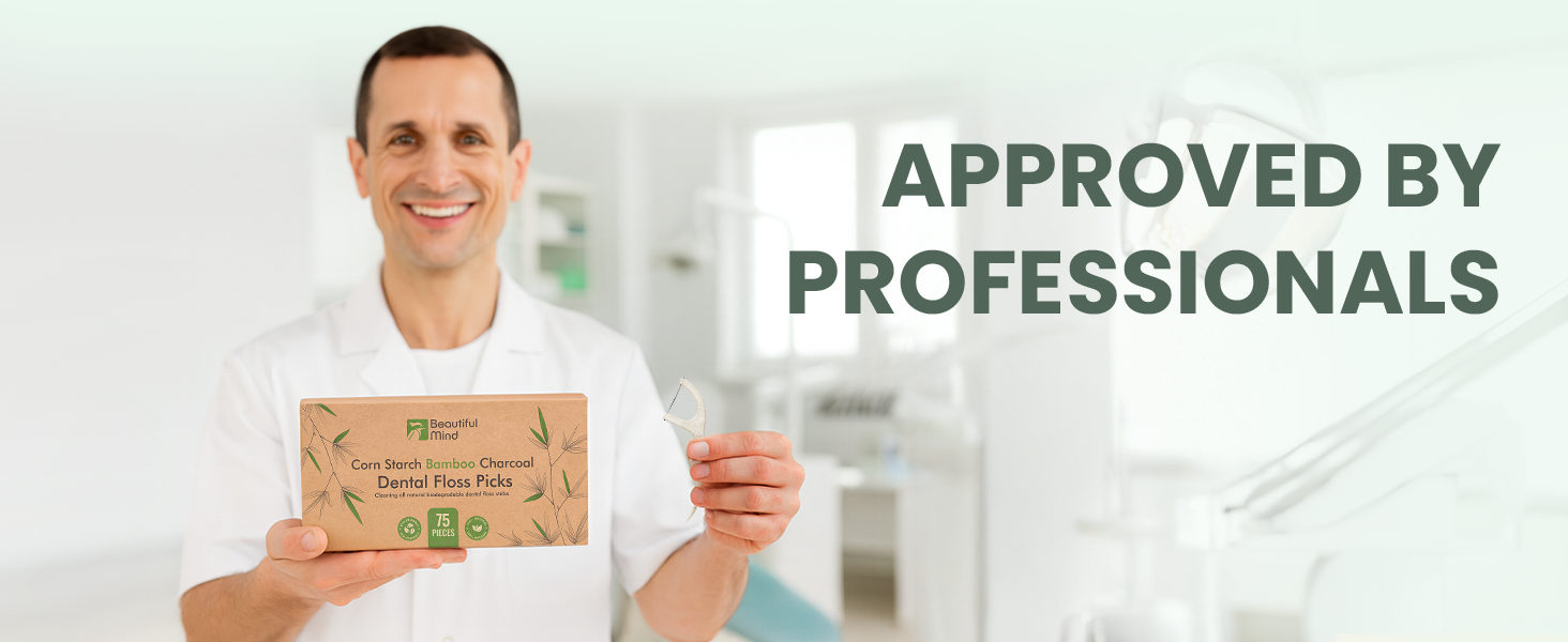 Dental Floss Picks