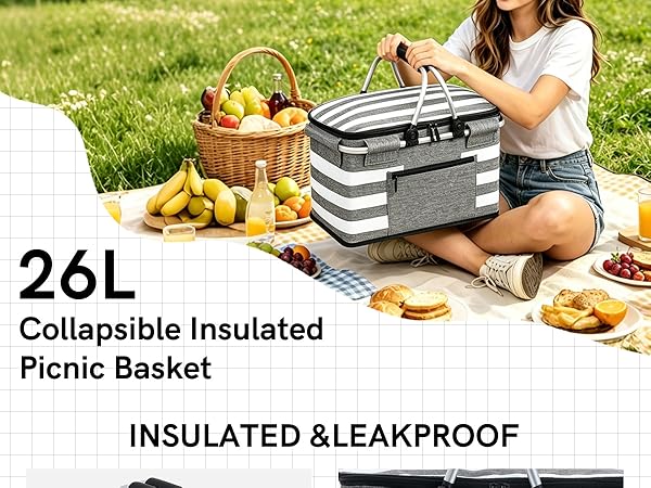 Insulated Picnic Basket