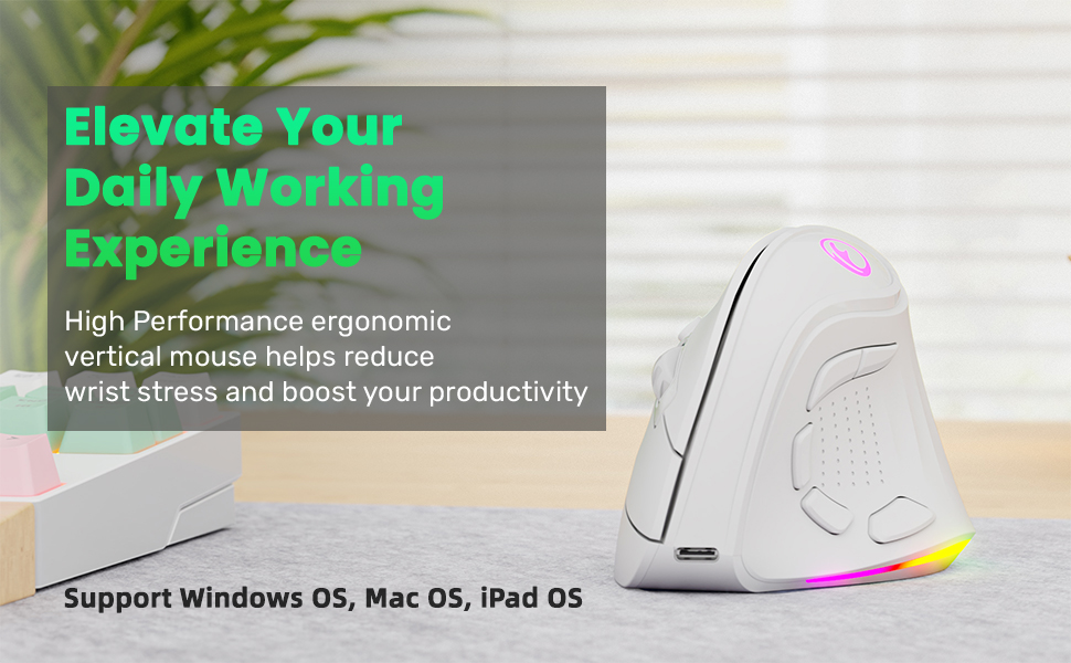 IFYOO 2.4G and BT 5.1 Dual Mode RGB Rechargeable Wireless Vertical Ergonomic Mouse PC Windows 11 10
