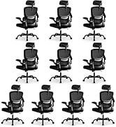 BESTFAIR High Back Ergonomic Office Chair, Breathable Mesh Desk Chair with Lumbar Support, Adjust...
