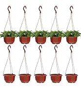 10 Pack Small Plastic Hanging Planters, 6.29" Hanging Flower Plant Pots Basket Planter Holder Rou...