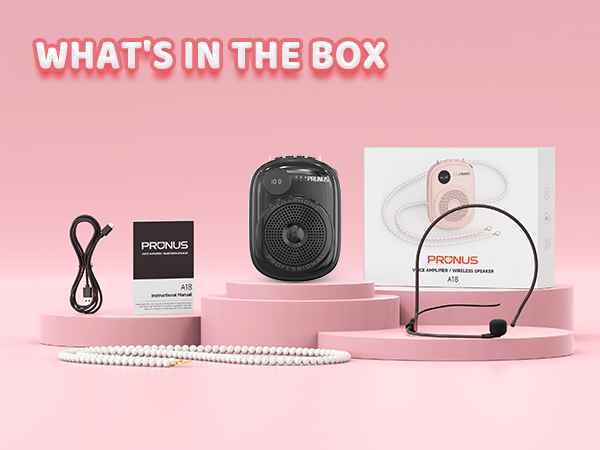 teacher microphone wireless
