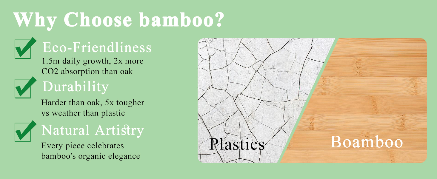 bird house with camera