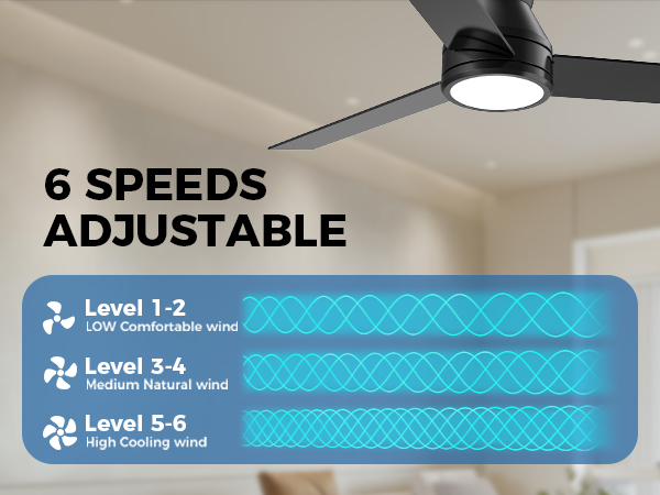 Ceiling Fans with Lights