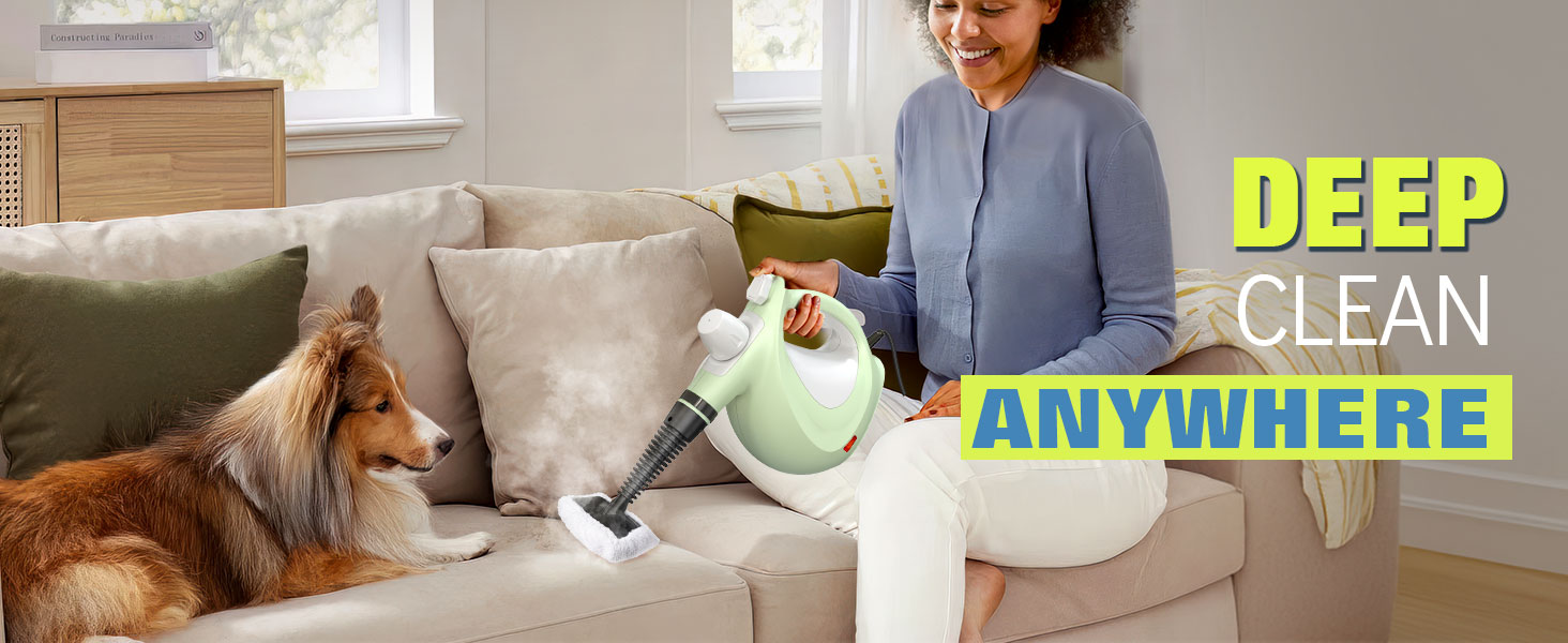 steam cleaner 