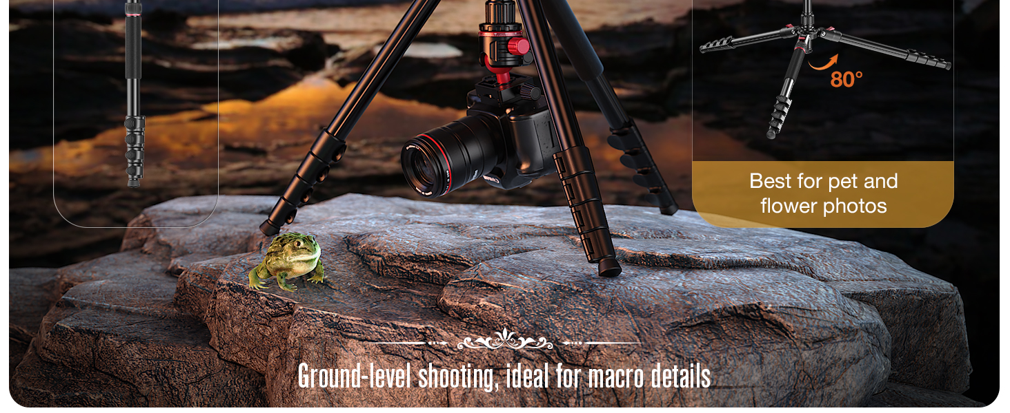 dslr tripod