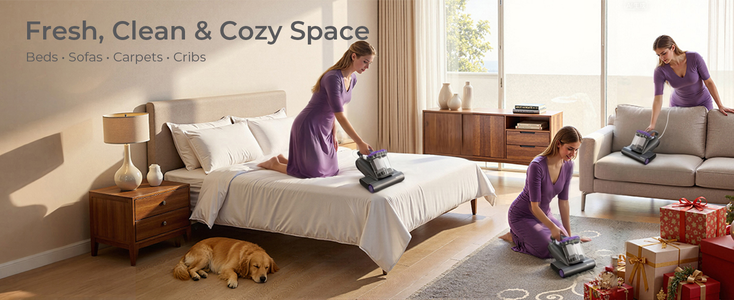 dustmite vacuum for bed