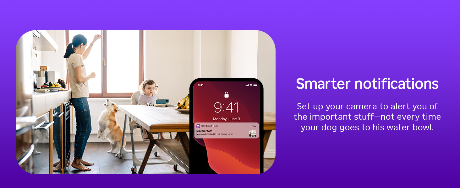 PRIORITY Roku: Indoor &amp;amp; Outdoor Cameras