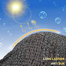 Sun's Rays Protection