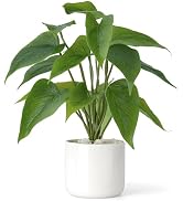 Mkono Fake Plants in Ceramic Pot, 11" Potted Artificial Plants for Home Decor Indoor Faux Green L...