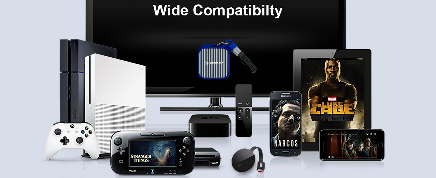 StarLinker 10G Mini SSD Enclosure Wide Compatibility