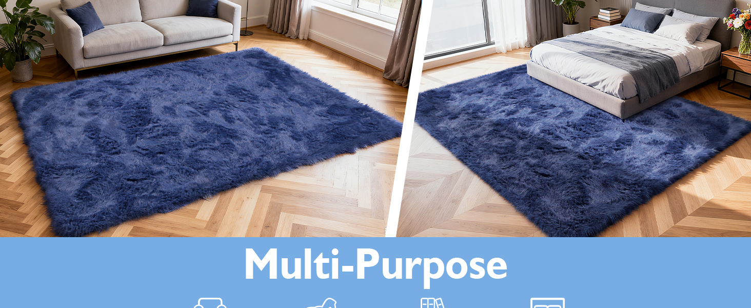 blue area rug